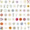 Cute Daisy Stickers 55PCS Beautiful Plants Waterproof Flower Stickers for Water Bottles Laptop Luggage Journaling, Party Rewards Waterproof Vinyl Decals for Kids Teens Adults (Colourful)